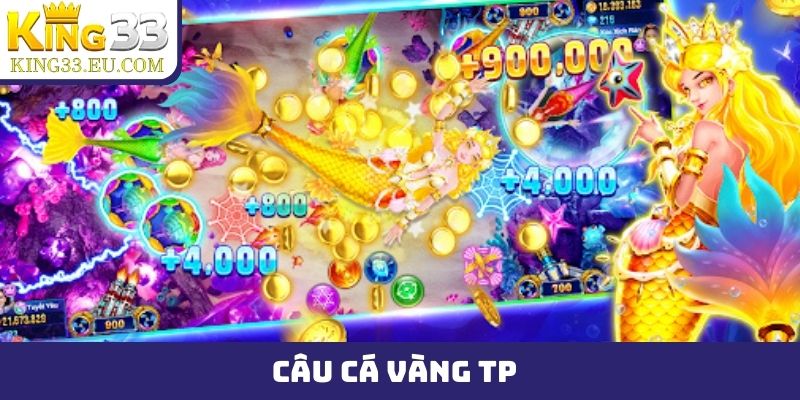câu cá vàng TP