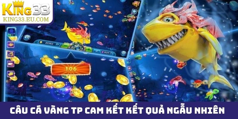 Câu Cá Vàng TP cam kết tạo mục tiêu và kết quả hạ gục ngẫu nhiên