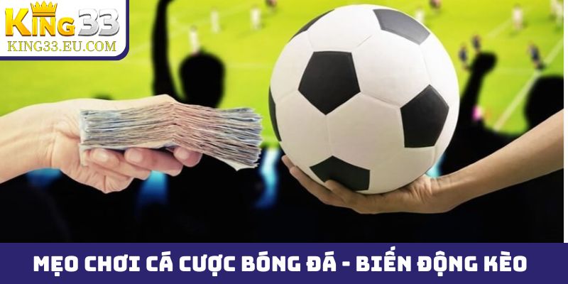 Mẹo chơi cá cược bóng đá King33 và cách nhận biết biến động kèo
