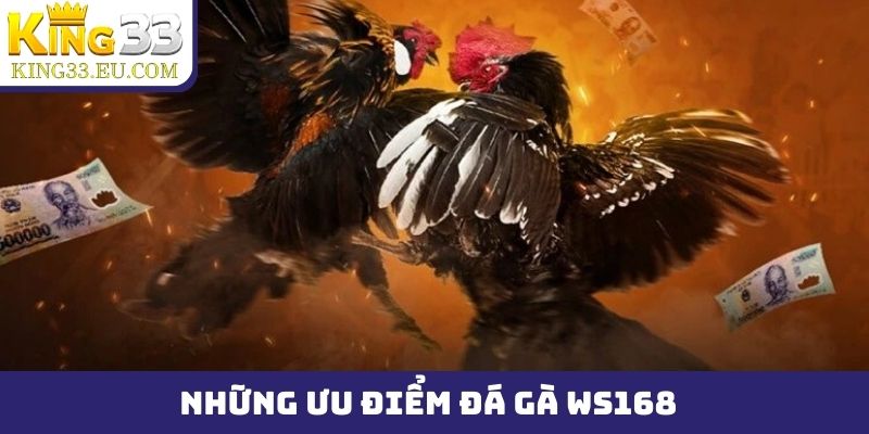 Những ưu điểm vượt trội khi lựa chọn đá gà WS168 để chơi