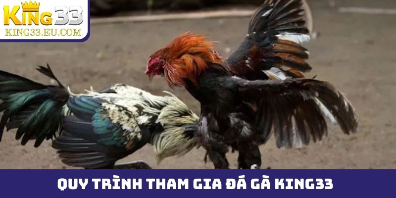Quy trình 2 bước để tham gia ngay đá gà King33